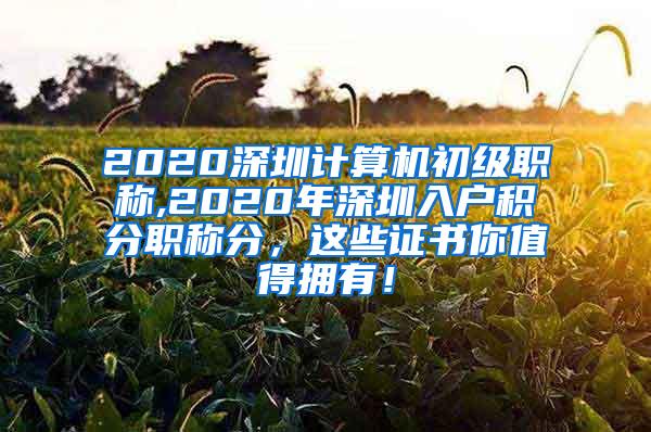 2020深圳计算机初级职称,2020年深圳入户积分职称分，这些证书你值得拥有！