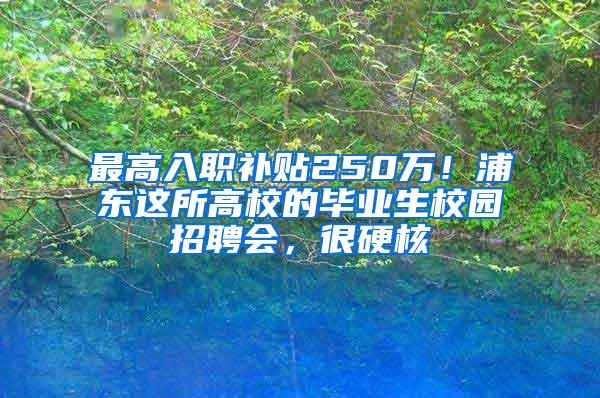 最高入职补贴250万！浦东这所高校的毕业生校园招聘会，很硬核