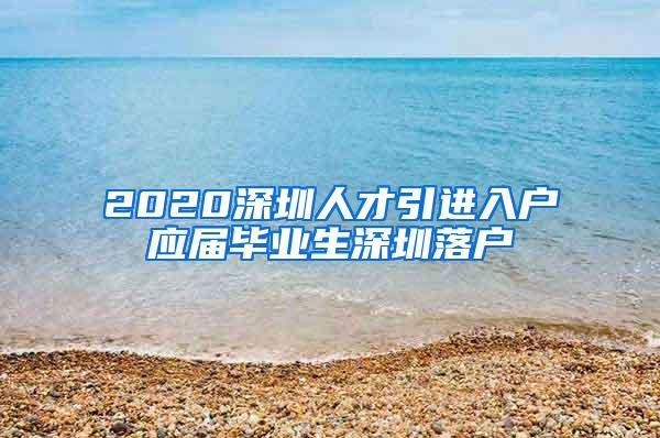 2020深圳人才引进入户应届毕业生深圳落户