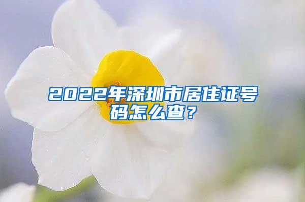 2022年深圳市居住证号码怎么查？