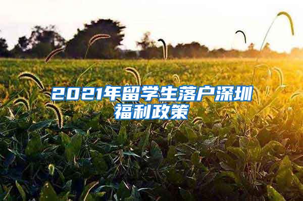 2021年留学生落户深圳福利政策