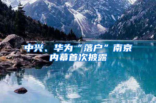 中兴、华为“落户”南京内幕首次披露