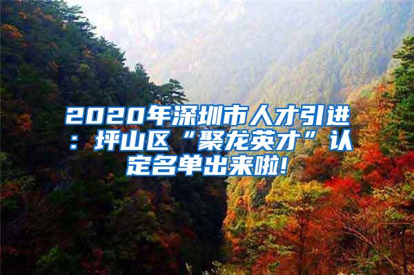 2020年深圳市人才引进：坪山区“聚龙英才”认定名单出来啦!