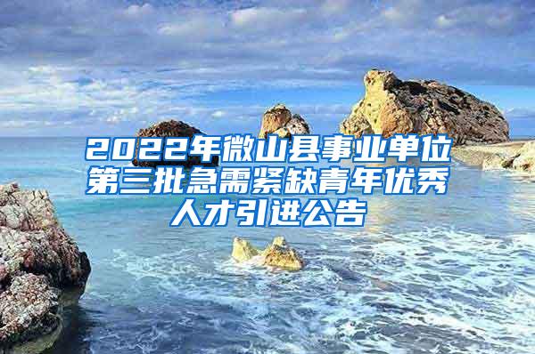 2022年微山县事业单位第三批急需紧缺青年优秀人才引进公告