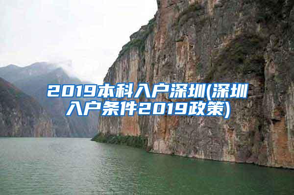 2019本科入户深圳(深圳入户条件2019政策)