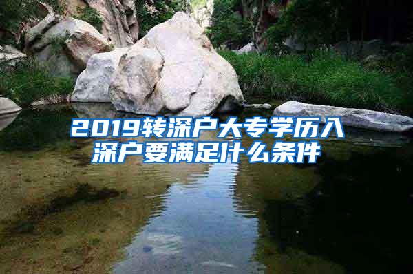 2019转深户大专学历入深户要满足什么条件