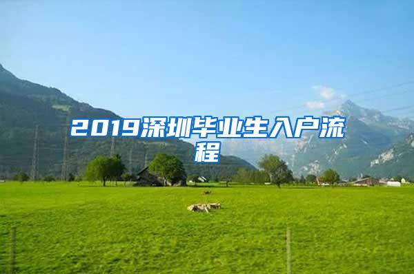 2019深圳毕业生入户流程