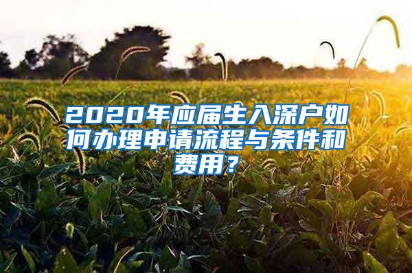 2020年应届生入深户如何办理申请流程与条件和费用？