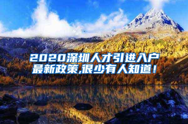 2020深圳人才引进入户最新政策,很少有人知道！