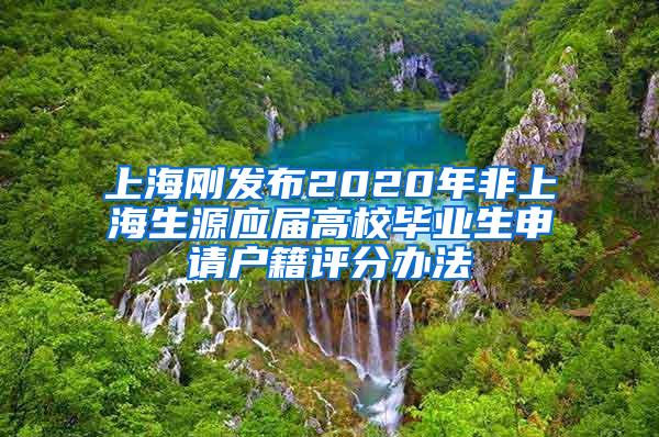 上海刚发布2020年非上海生源应届高校毕业生申请户籍评分办法