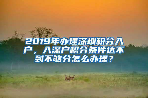 2019年办理深圳积分入户，入深户积分条件达不到不够分怎么办理？