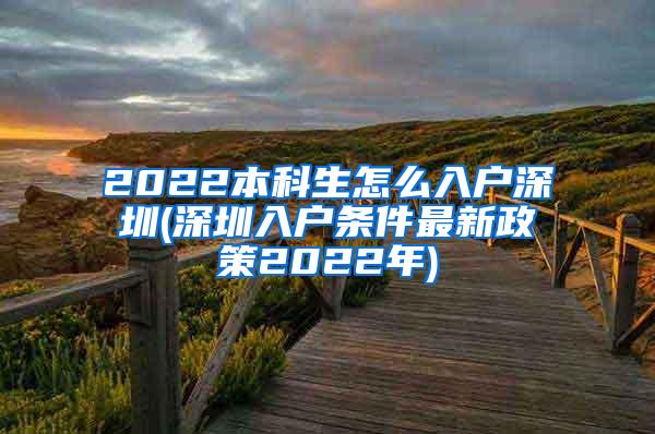 2022本科生怎么入户深圳(深圳入户条件最新政策2022年)