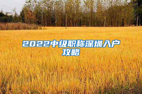 2022中级职称深圳入户攻略