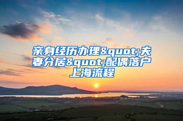 亲身经历办理"夫妻分居"配偶落户上海流程