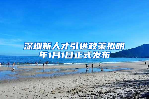 深圳新人才引进政策拟明年1月1日正式发布