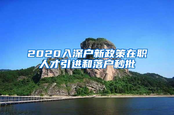 2020入深户新政策在职人才引进和落户秒批