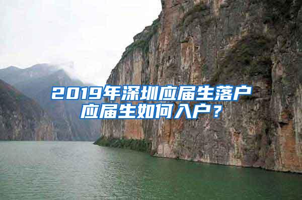 2019年深圳应届生落户应届生如何入户？