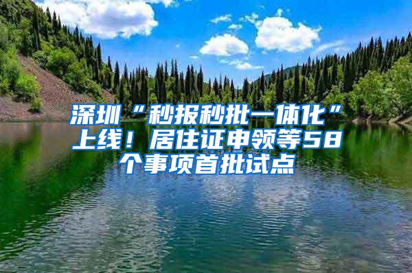 深圳“秒报秒批一体化”上线！居住证申领等58个事项首批试点