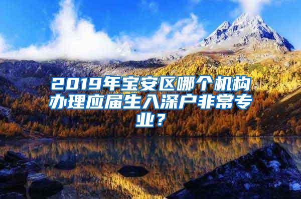 2019年宝安区哪个机构办理应届生入深户非常专业？