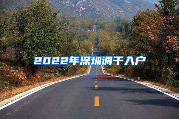 2022年深圳调干入户