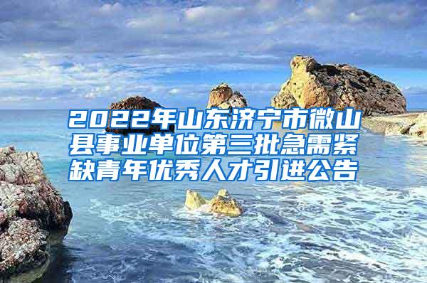 2022年山东济宁市微山县事业单位第三批急需紧缺青年优秀人才引进公告