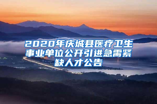 2020年庆城县医疗卫生事业单位公开引进急需紧缺人才公告