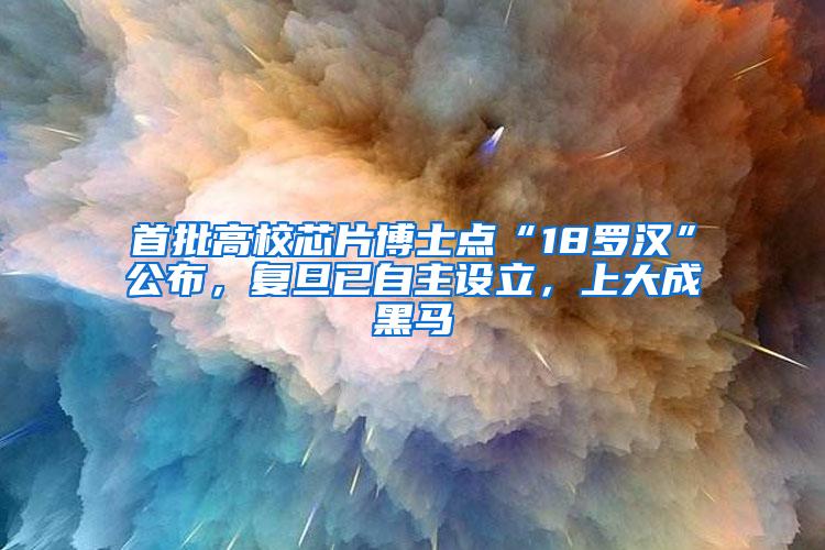 首批高校芯片博士点“18罗汉”公布，复旦已自主设立，上大成黑马