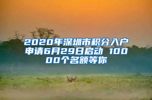 2020年深圳市积分入户申请6月29日启动 10000个名额等你