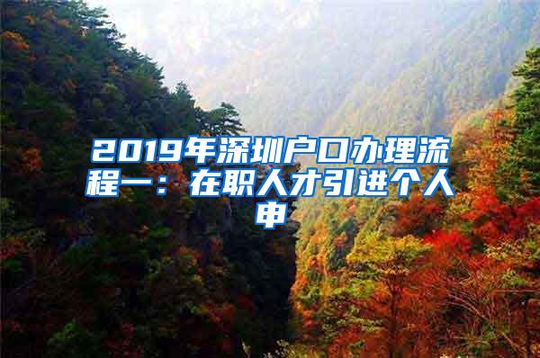 2019年深圳户口办理流程一：在职人才引进个人申