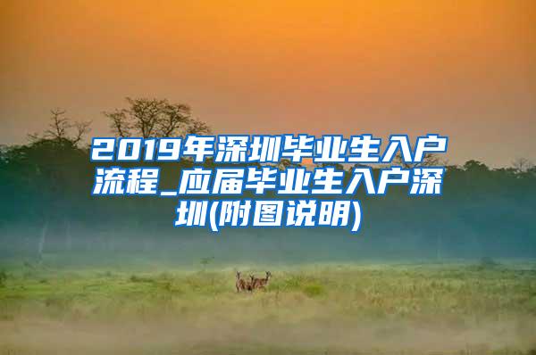 2019年深圳毕业生入户流程_应届毕业生入户深圳(附图说明)