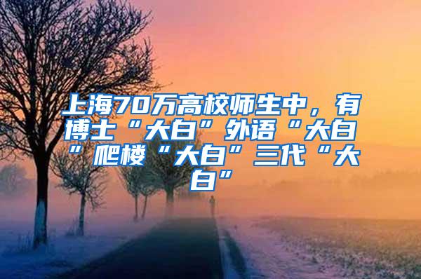 上海70万高校师生中，有博士“大白”外语“大白”爬楼“大白”三代“大白”