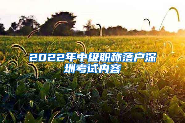 2022年中级职称落户深圳考试内容