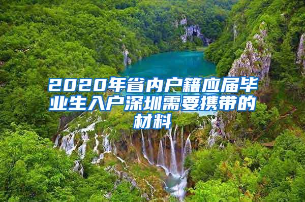 2020年省内户籍应届毕业生入户深圳需要携带的材料