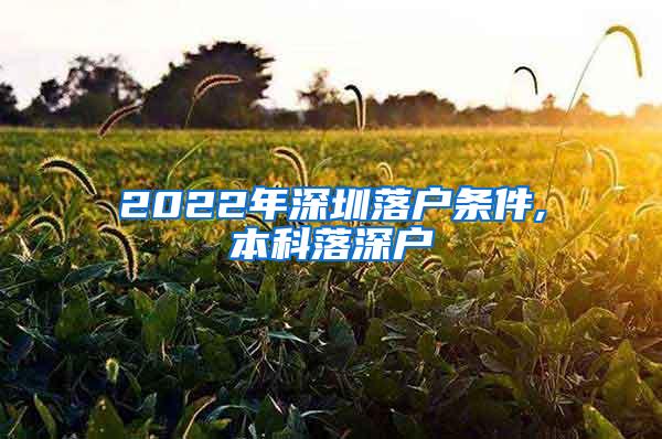 2022年深圳落户条件,本科落深户