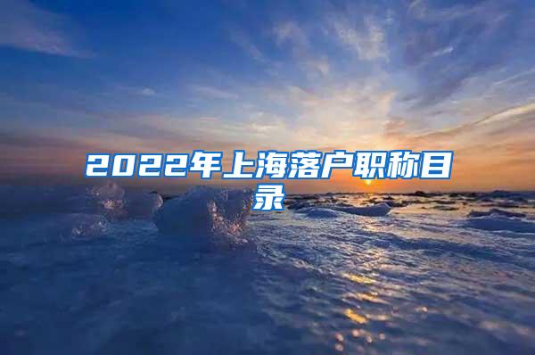 2022年上海落户职称目录