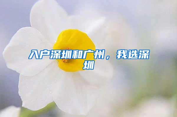 入户深圳和广州，我选深圳