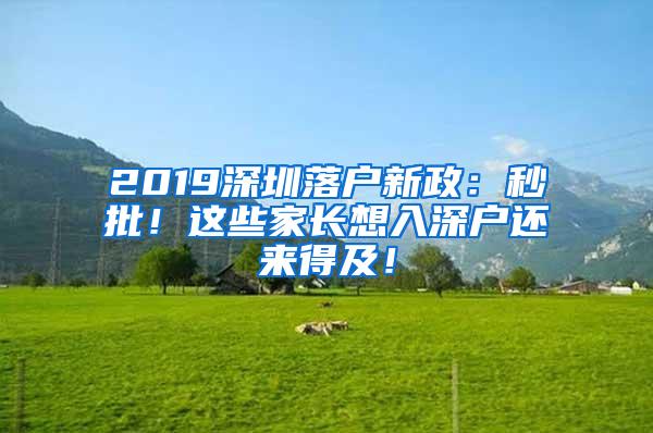 2019深圳落户新政：秒批！这些家长想入深户还来得及！