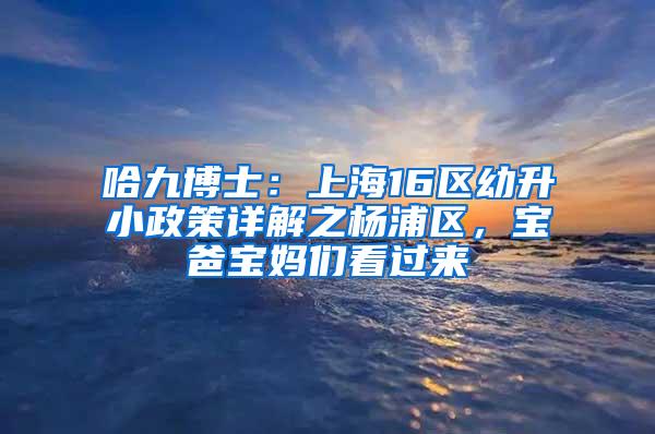 哈九博士：上海16区幼升小政策详解之杨浦区，宝爸宝妈们看过来