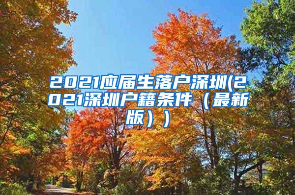 2021应届生落户深圳(2021深圳户籍条件（最新版）)