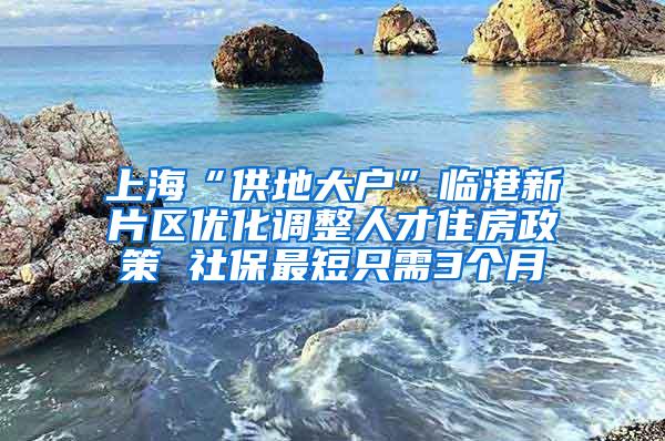 上海“供地大户”临港新片区优化调整人才住房政策 社保最短只需3个月