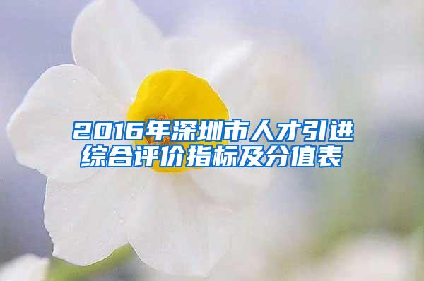 2016年深圳市人才引进综合评价指标及分值表