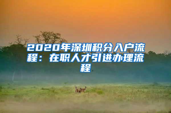 2020年深圳积分入户流程：在职人才引进办理流程