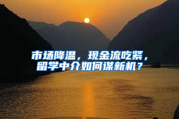 市场降温，现金流吃紧，留学中介如何谋新机？