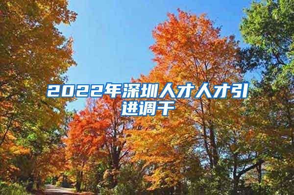 2022年深圳人才人才引进调干