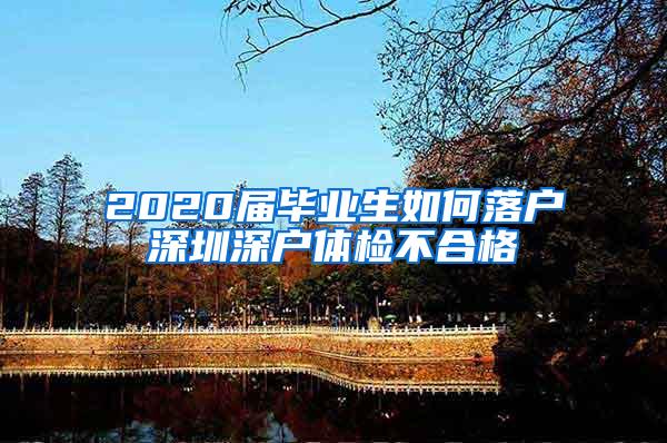 2020届毕业生如何落户深圳深户体检不合格