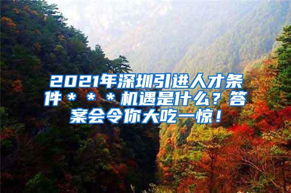 2021年深圳引进人才条件＊＊＊机遇是什么？答案会令你大吃一惊！