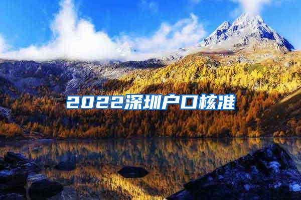 2022深圳户口核准