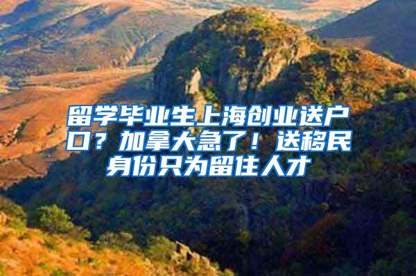 留学毕业生上海创业送户口？加拿大急了！送移民身份只为留住人才