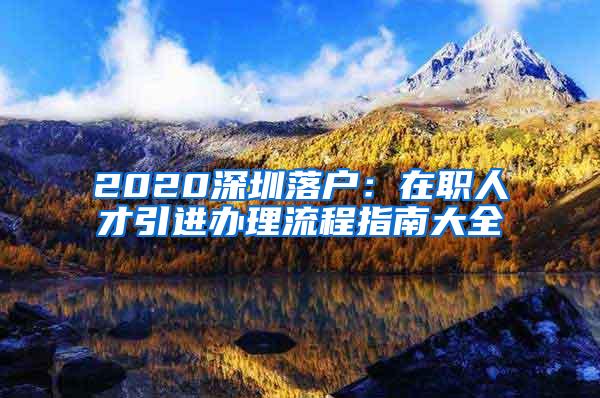 2020深圳落户：在职人才引进办理流程指南大全