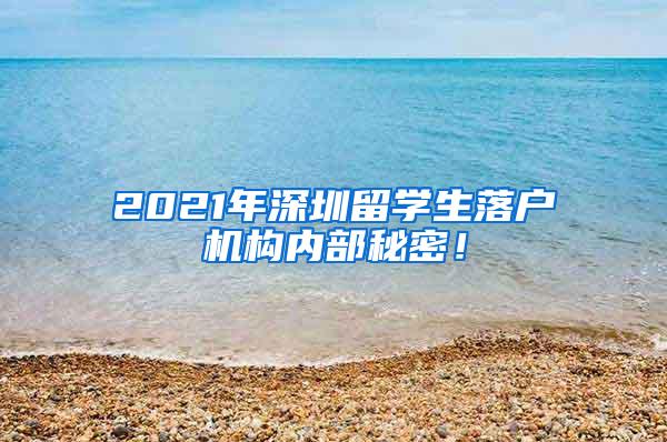 2021年深圳留学生落户机构内部秘密！